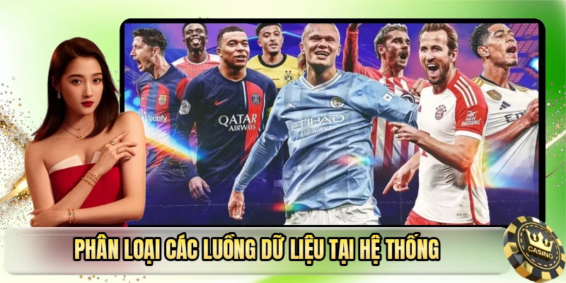 Phân loại các luồng dữ liệu tại hệ thống